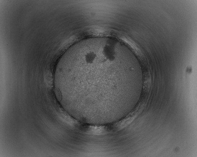 X0000100500469200806201719