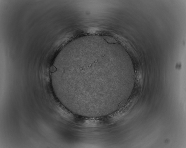 X0000100500470200806201719