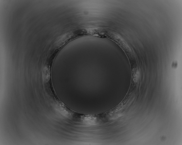 X0000100500471200806201719