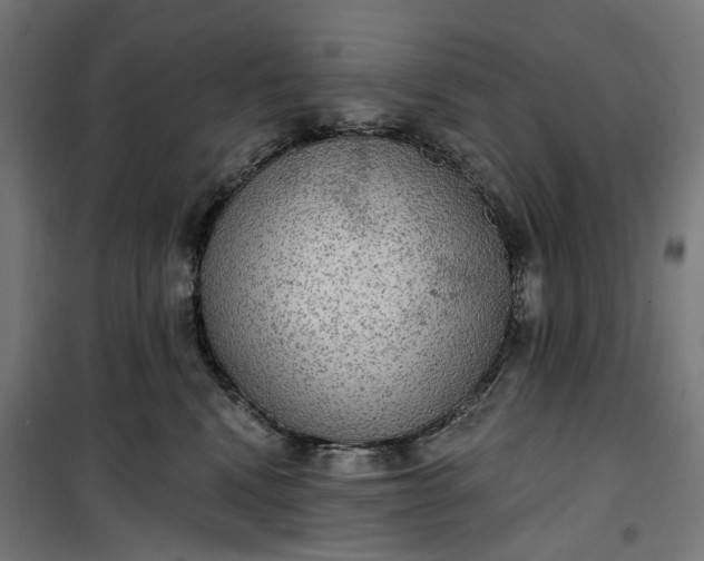 X0000100500472200806201719