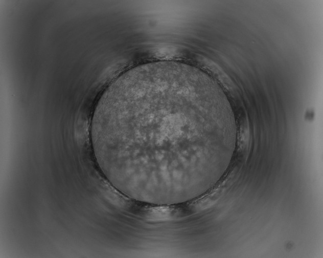 X0000100500473200806201719