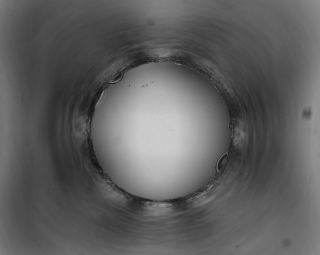 X0000100500476200806201719