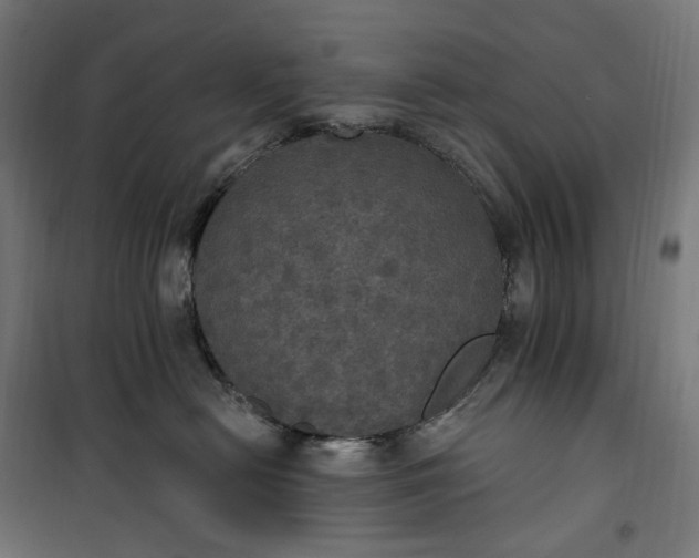 X0000100500478200806201719