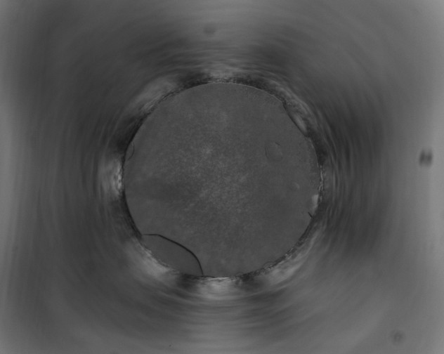 X0000100500479200806201719