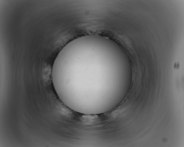 X0000100500480200806201719