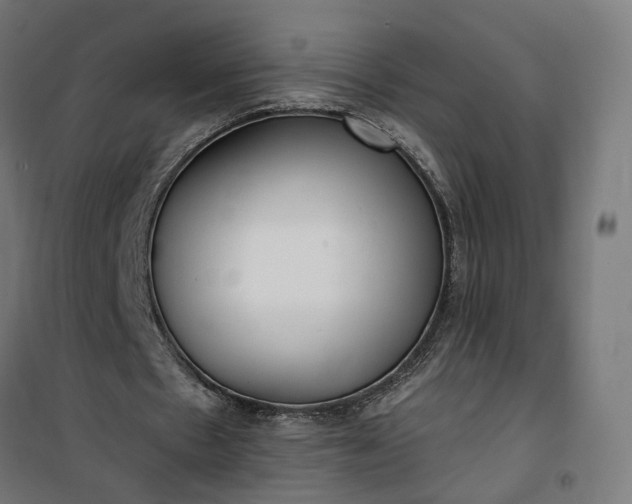 X0000100500481200806201718