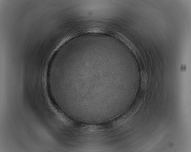 X0000100500482200806201718