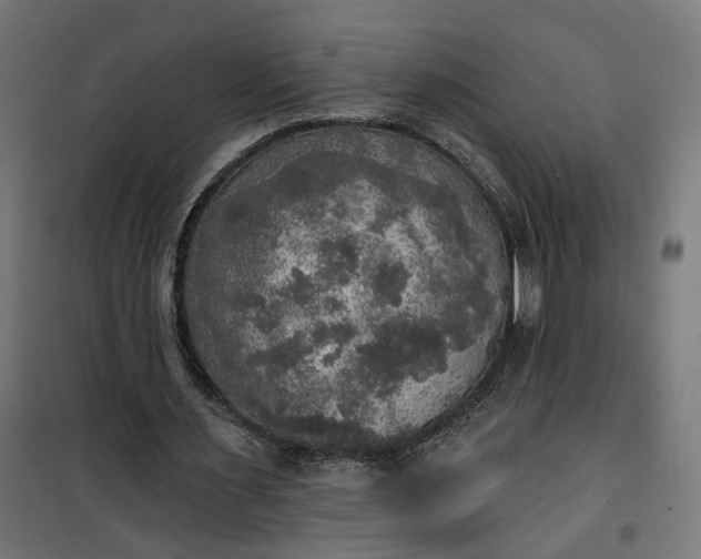 X0000100500483200806201718