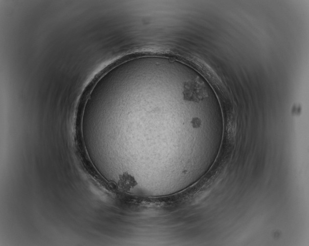 X0000100500484200806201718