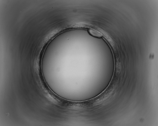 X0000100500485200806201718