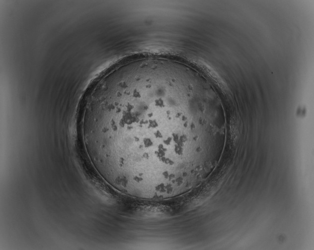 X0000100500488200806201718