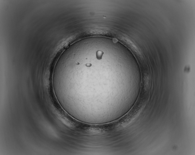 X0000100500490200806201718