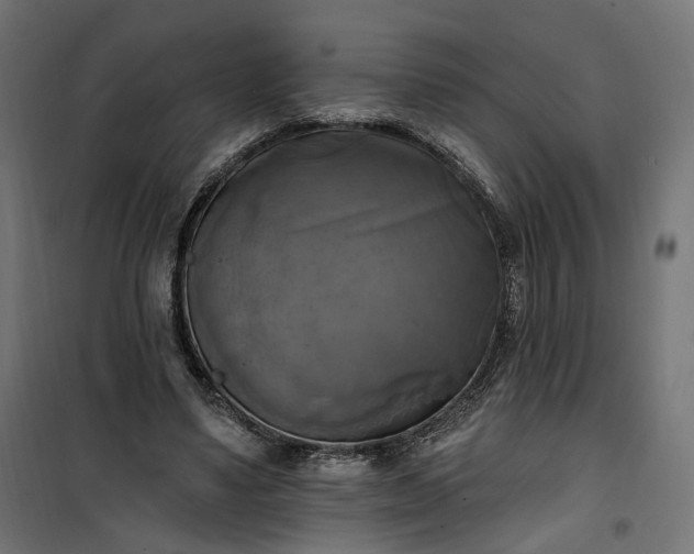 X0000100500491200806201718