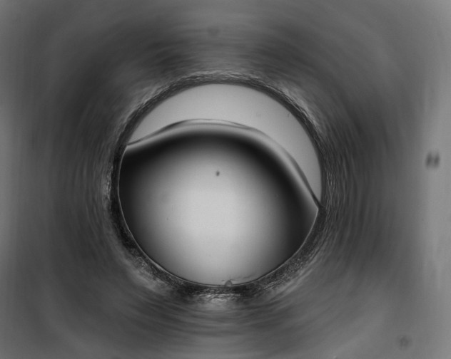 X0000100500495200806201718