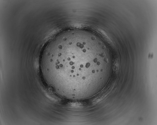 X0000100500500200806201718