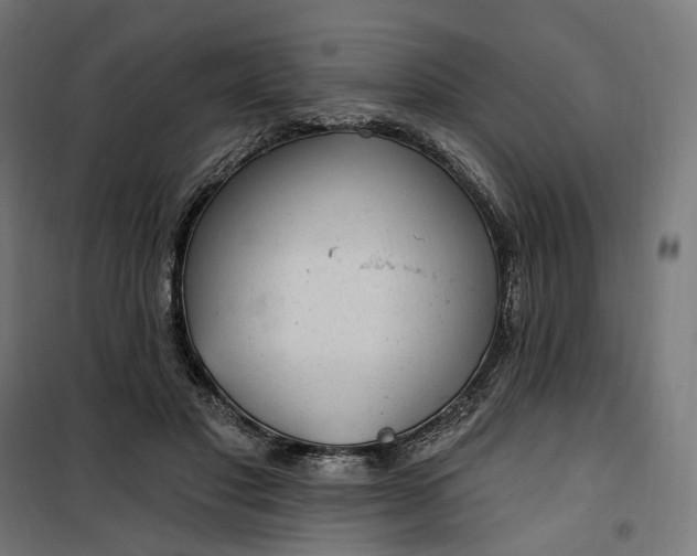 X0000100500501200806201718