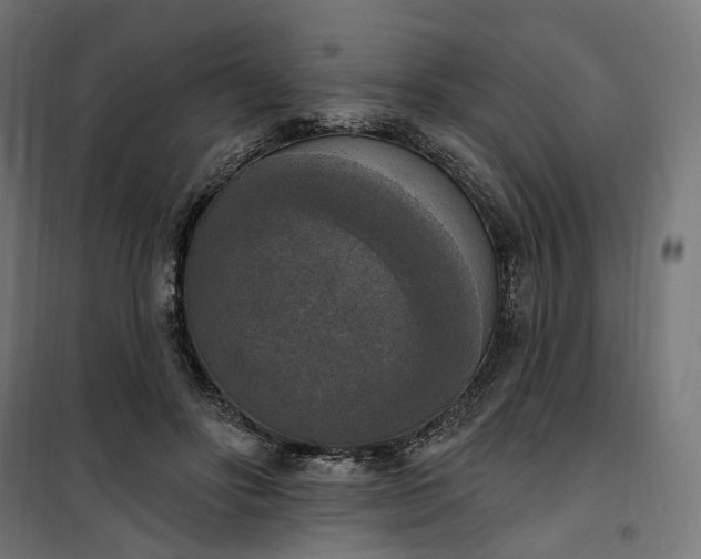 X0000100500502200806201718