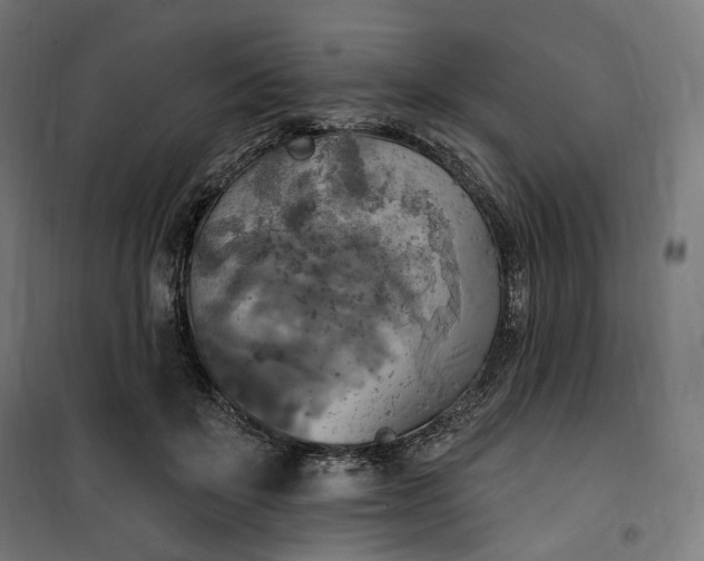 X0000100500503200806201718