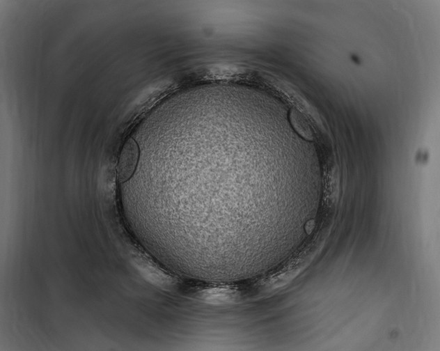 X0000100500505200806201718