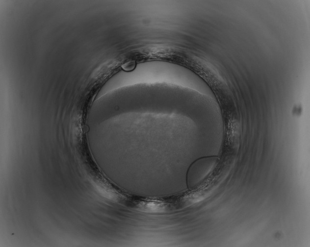 X0000100500506200806201718