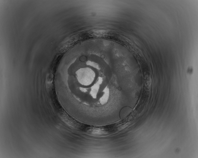 X0000100500507200806201718