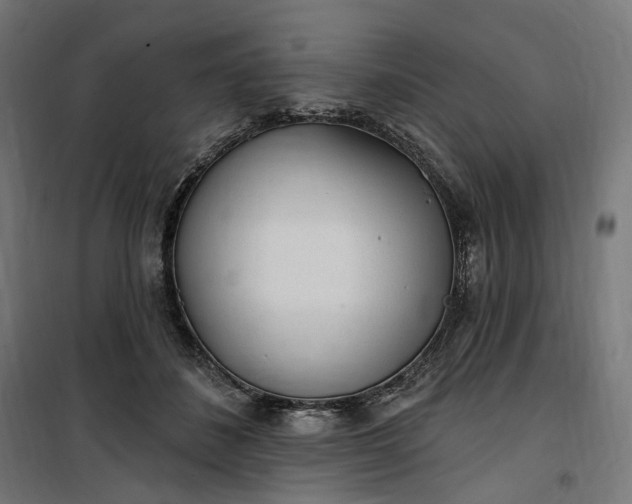 X0000100500508200806201718