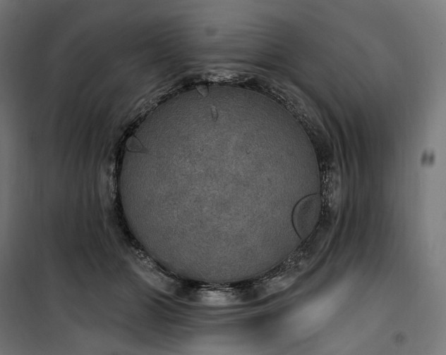 X0000100500510200806201718