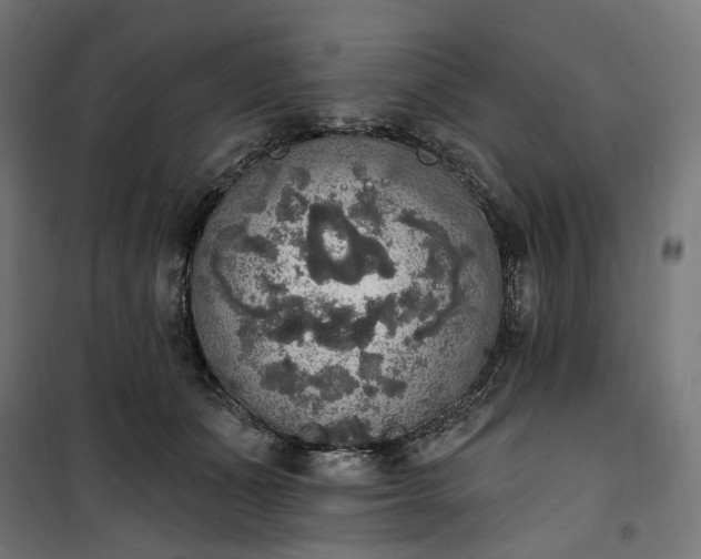 X0000100500511200806201718