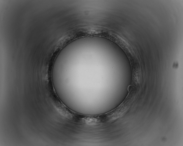 X0000100500512200806201718