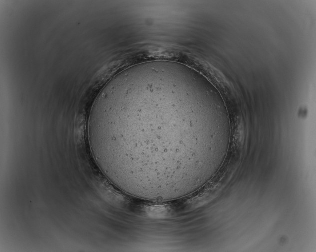 X0000100500513200806201718