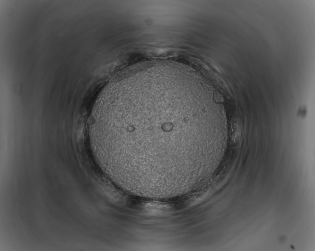 X0000100500515200806201718