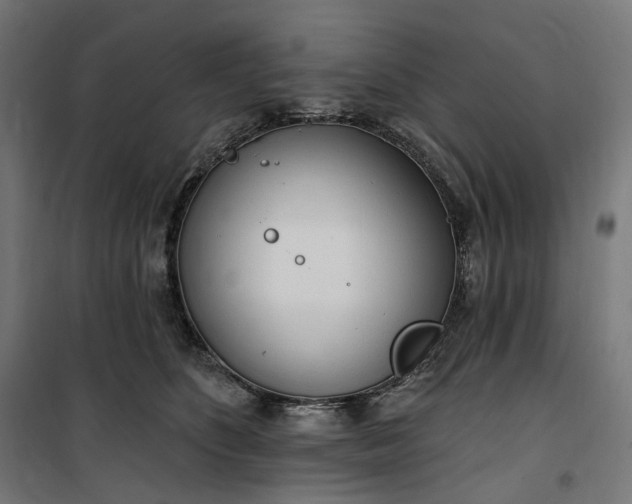 X0000100500516200806201718