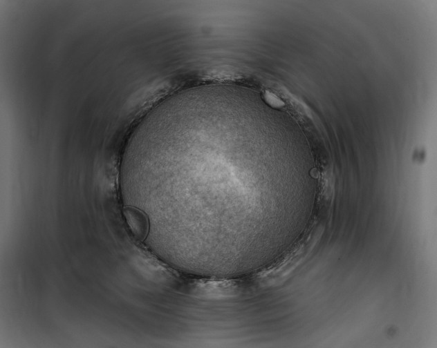 X0000100500517200806201718