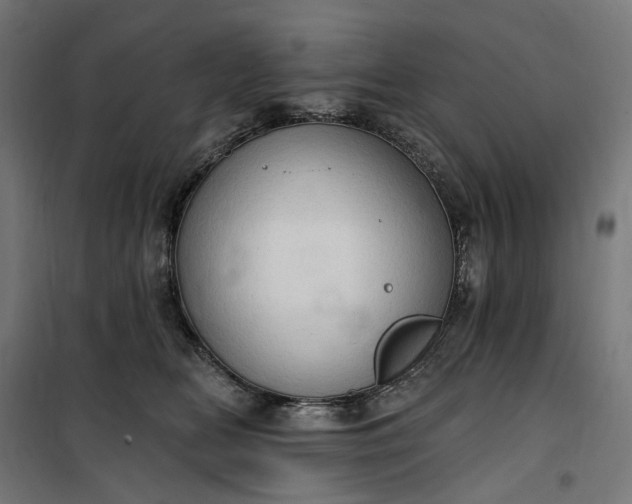 X0000100500518200806201718