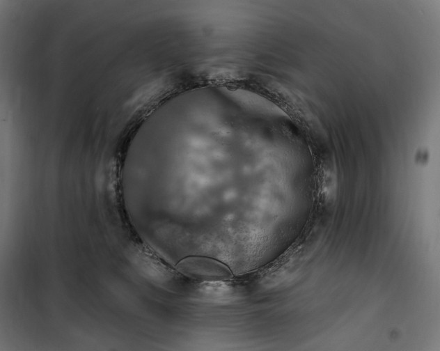 X0000100500519200806201718