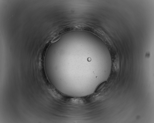 X0000100500520200806201718