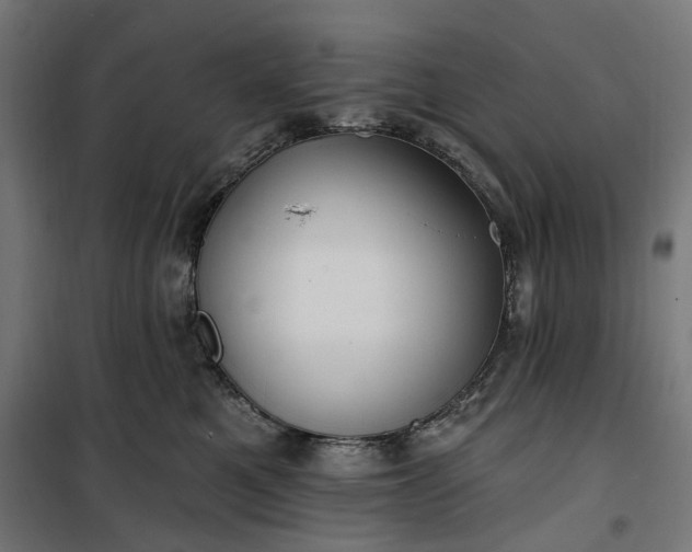 X0000100500521200806201718