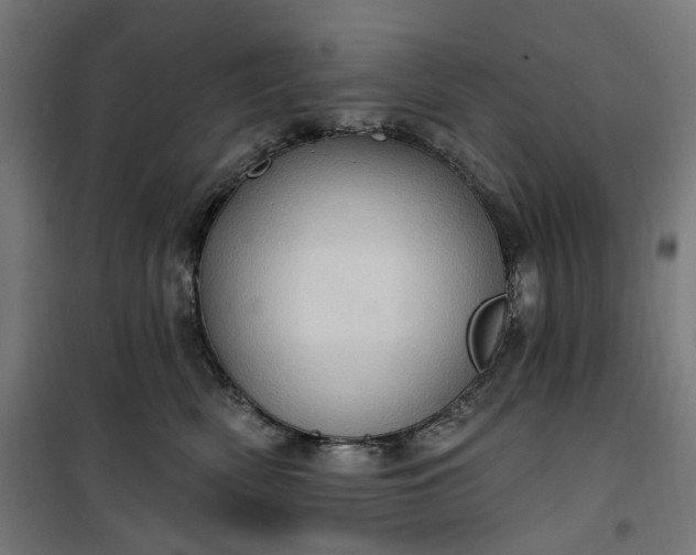 X0000100500522200806201718