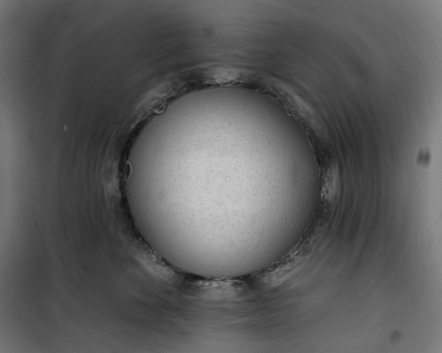 X0000100500524200806201718