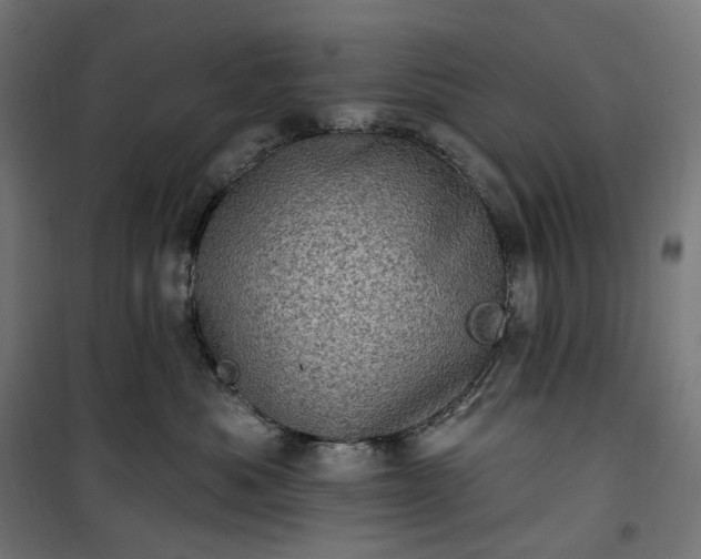 X0000100500525200806201718