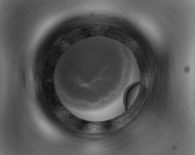 X0000100500526200806201718