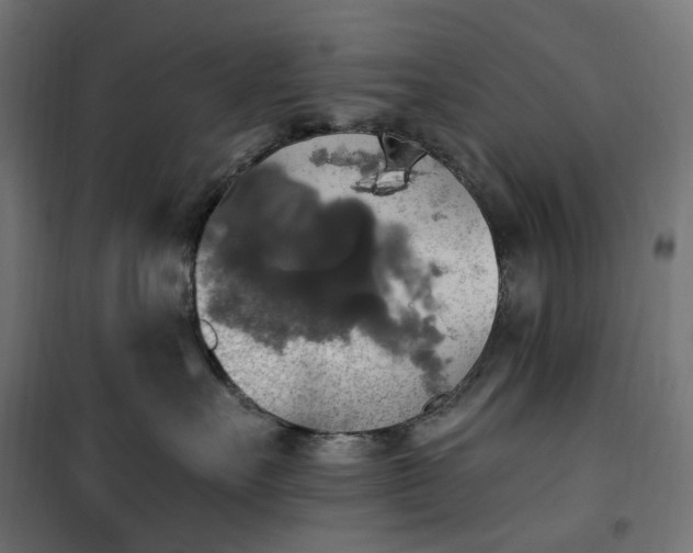 X0000100500527200806201718