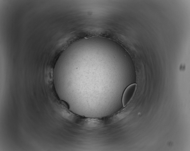 X0000100500528200806201718