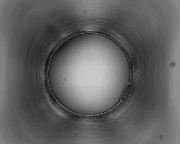 X0000100500530200806201717