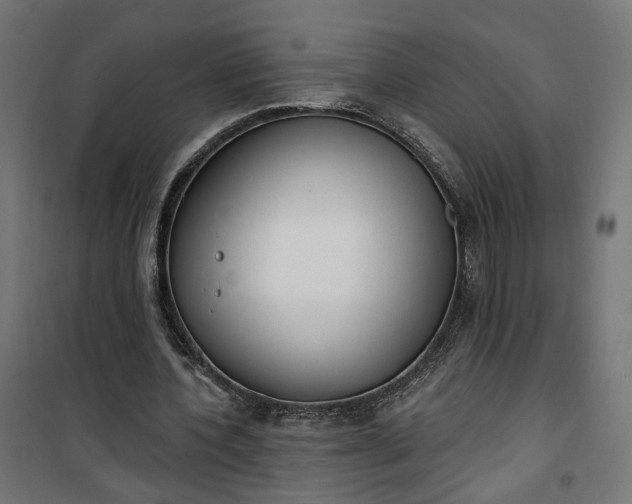 X0000100500532200806201717