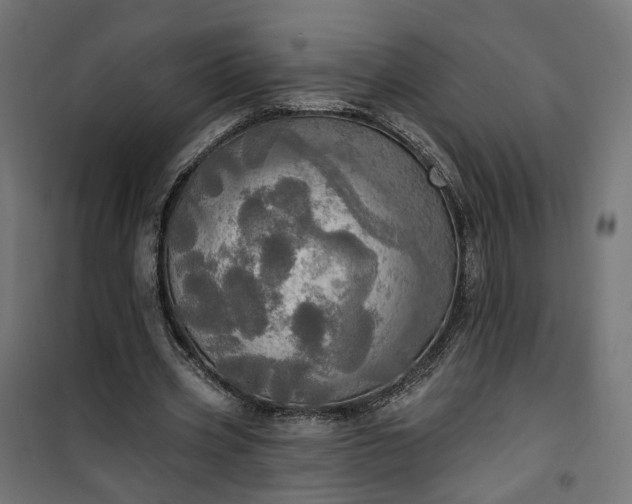 X0000100500533200806201717