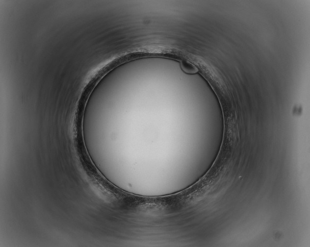 X0000100500536200806201717