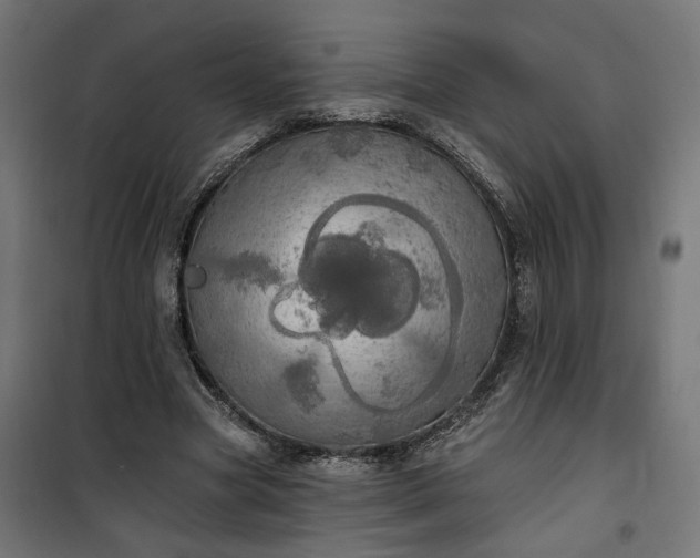 X0000100500537200806201717