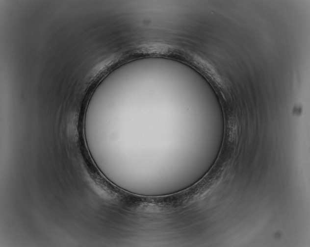 X0000100500538200806201717