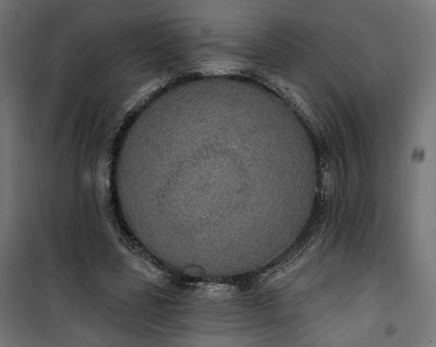 X0000100500539200806201717